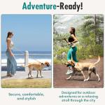 Hands-Free Dog Leash with Treat Pouch