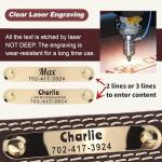 Personalized Leather Dog Collar with Nameplate