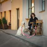 Hands-Free Reflective Dog Leash and Waist Belt