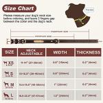 Custom Leather Dog Collar with Engravable Nameplate