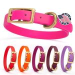 Heavy Duty Waterproof Dog Collar in Passionfruit Pink