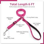 Kuley AirTag Dog Collar and Reflective Leash Set