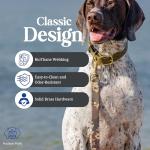 Hudson Park Waterproof Adjustable Dog Collar - Lilac