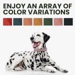 BronzeDog Adjustable Leather Dog Collar with QR Tag