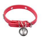 St. Francis Dog Collar Medal and Holy Cards Set