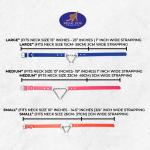 Waterproof Martingale Collar for Dogs - Heavy Duty