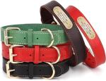 Personalized Leather Dog Collar with Nameplate
