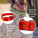 Hudson Park Waterproof Adjustable Dog Collar - Lilac