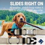 Silent Slide-On Personalized Dog Tags in Stainless Steel