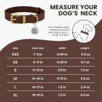 BronzeDog QR ID Tag Leather Collar for Small Pets