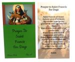 St. Francis Dog Collar Medal and Holy Cards Set