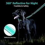Kuley Teal AirTag Dog Collar and Leash Set