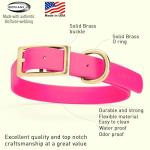 Heavy Duty Waterproof Dog Collar in Passionfruit Pink
