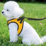 Custom Reflective Dog Harness with Leash