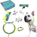 Paracord Pet ID Kit with Matching Bracelet