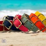 Hudson Park Waterproof Adjustable Dog Collar - Lilac