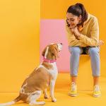 Heavy Duty Waterproof Dog Collar in Passionfruit Pink