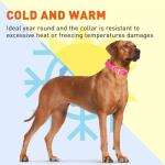 Heavy Duty Waterproof Dog Collar in Passionfruit Pink