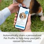 QR Code Pet Tag | Share Pet Profile | 3-Pack
