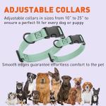 Waterproof Dog Collar with Quick Release Buckle