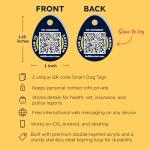Custom QR Code Pet ID Tags - 2 Pack