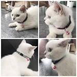 Cute Cat Bell Charm and Dog Tag Clips Set