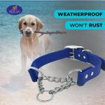 Waterproof Martingale Collar for Dogs - Heavy Duty