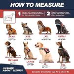 Reflective Service Dog Vest Kit with ID Tags