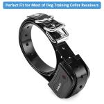 LuckinPET Waterproof Adjustable Dog Collar Strap