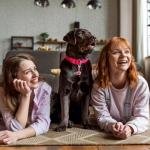 14 Pack Colorful Bells for Cat and Dog Collars