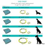 Paracord Pet ID Kit with Matching Bracelet