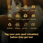 Custom QR Code Pet ID Tags - 2 Pack