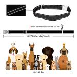 Adjustable Reflective Nylon Replacement Collars for Dogs