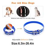 Adjustable Waterproof Collar Strap for Training Collars