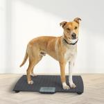 Digital Dog Scale with Non-Skid Mat, 225 Lb Capacity