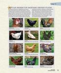 Guide to Building Backyard Chicken Coops