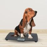 Digital Dog Scale with Non-Skid Mat, 225 Lb Capacity