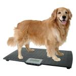 Digital Dog Scale with Non-Skid Mat, 225 Lb Capacity
