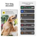 Fi Mini GPS Dog Tracker with Membership