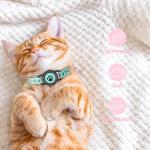Waterproof GPS Cat Tracker Collar with Bells