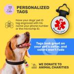 Custom Glow-in-the-Dark Service Dog Tag