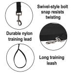 Hi Kiss Training Leash for Dogs - 30ft Black