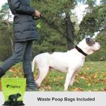 Reflective Rope Dog Leash with Padded Handle