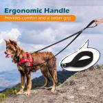 PetBonus Reflective No Pull Dog Leash