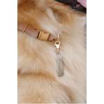 DORUI Pet ID Tag Clips - 2 Pack Gold