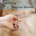 DORUI Pet ID Tag Clips - 2 Pack Gold