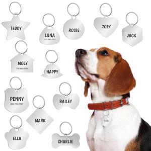 Personalized Stainless Steel Pet ID Tags - Cute Designs