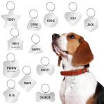 Personalized Stainless Steel Pet ID Tags - Cute Designs