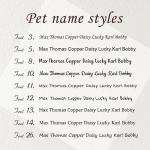 Personalized Silent Pet ID Tags - Black Stainless Steel