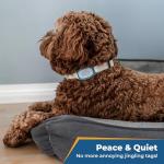 Personalized Silent Dog Tag for Collars - Purple